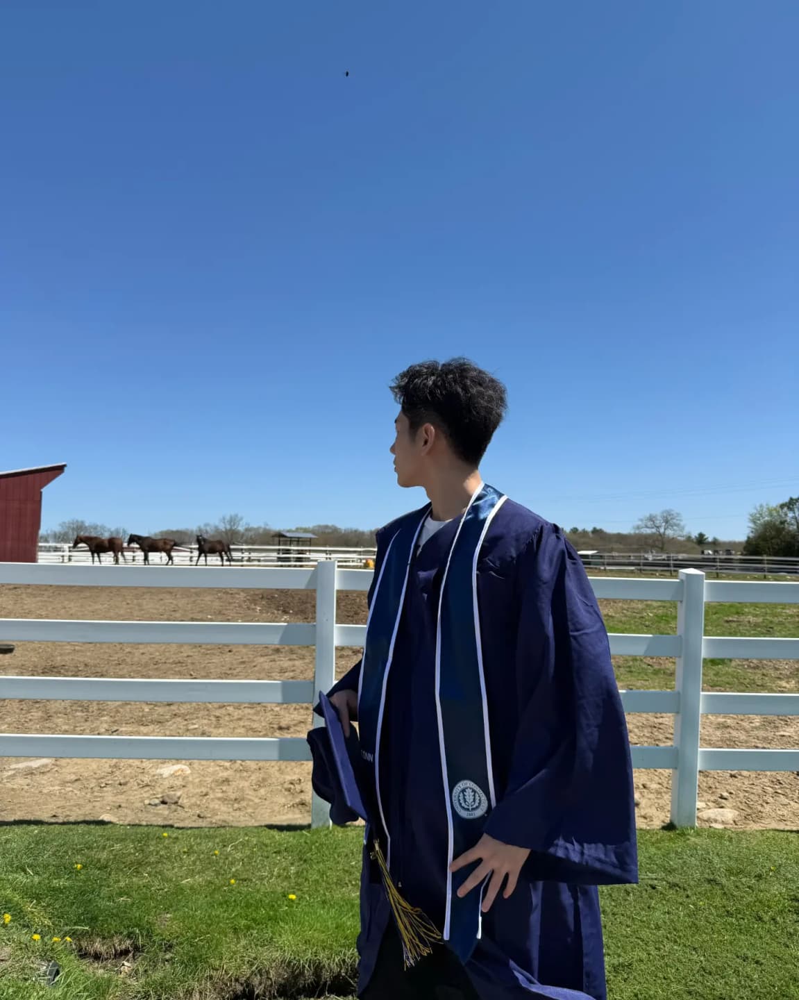 That year in a rush 🎓 6