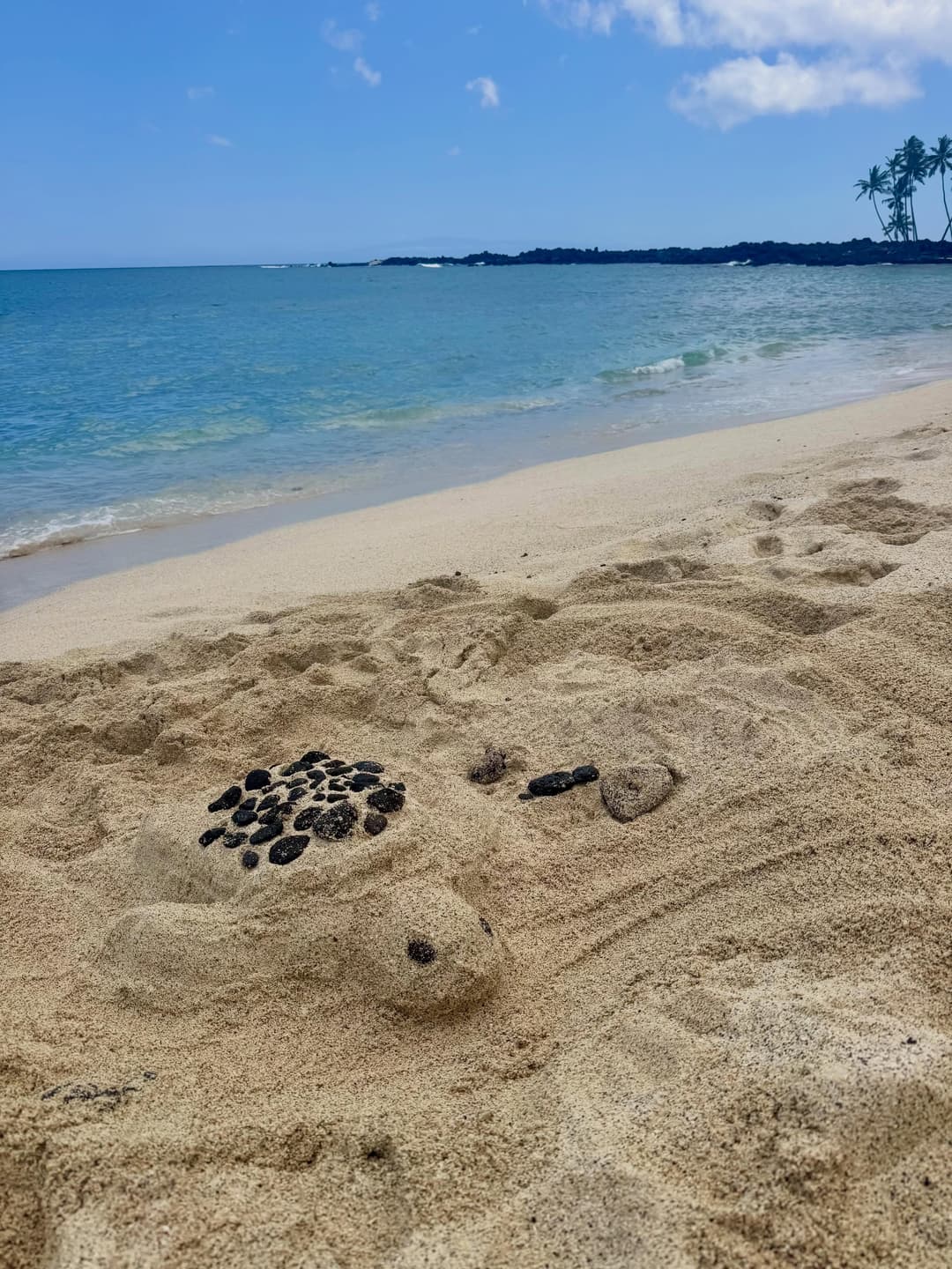 Hawaiian Summer Adventures Map