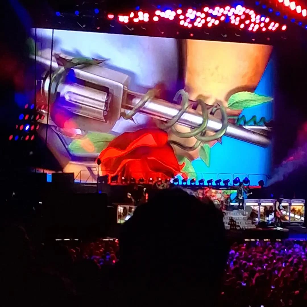 Guns N' Roses 🌹 2