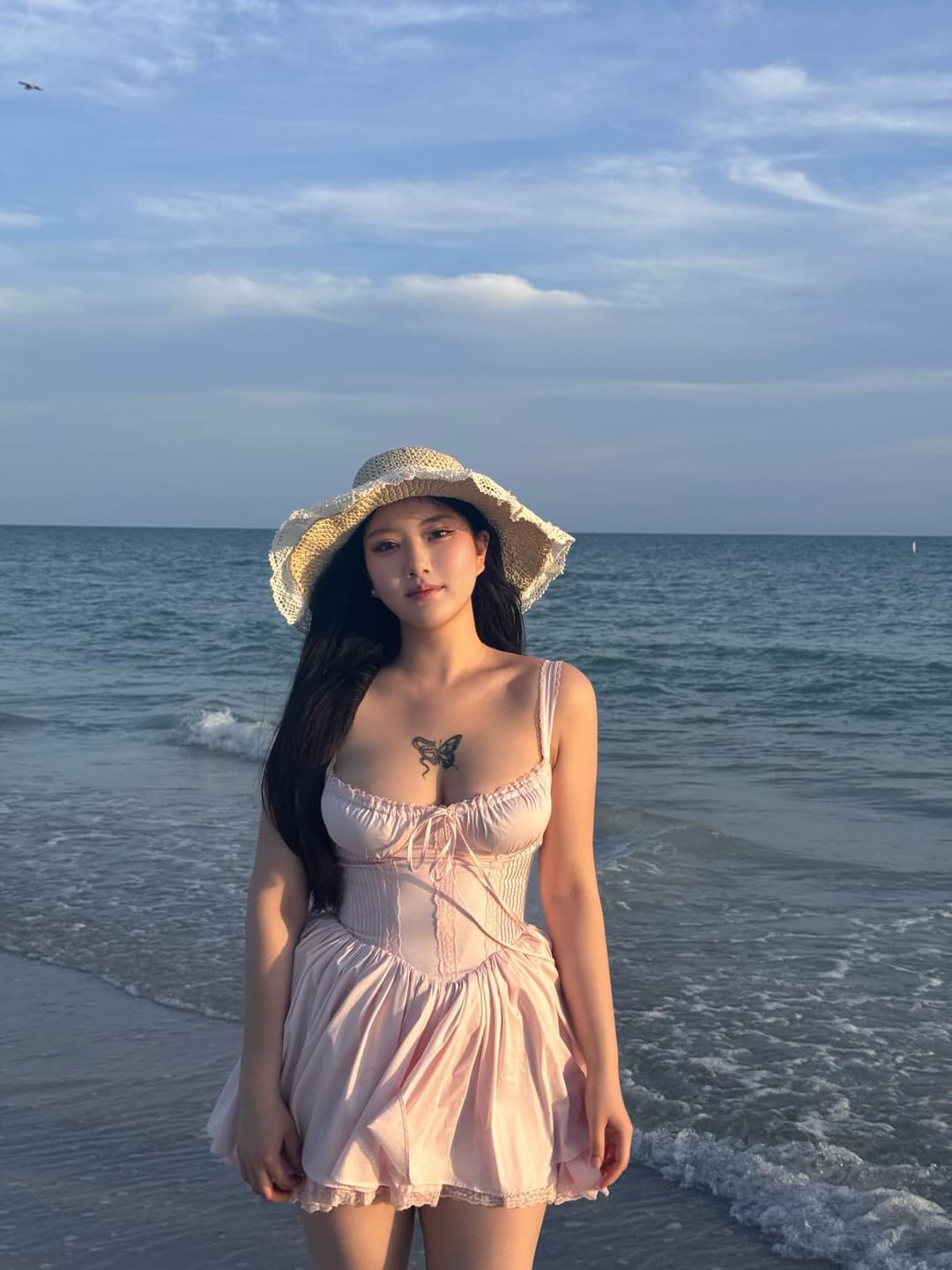 🐬🌅