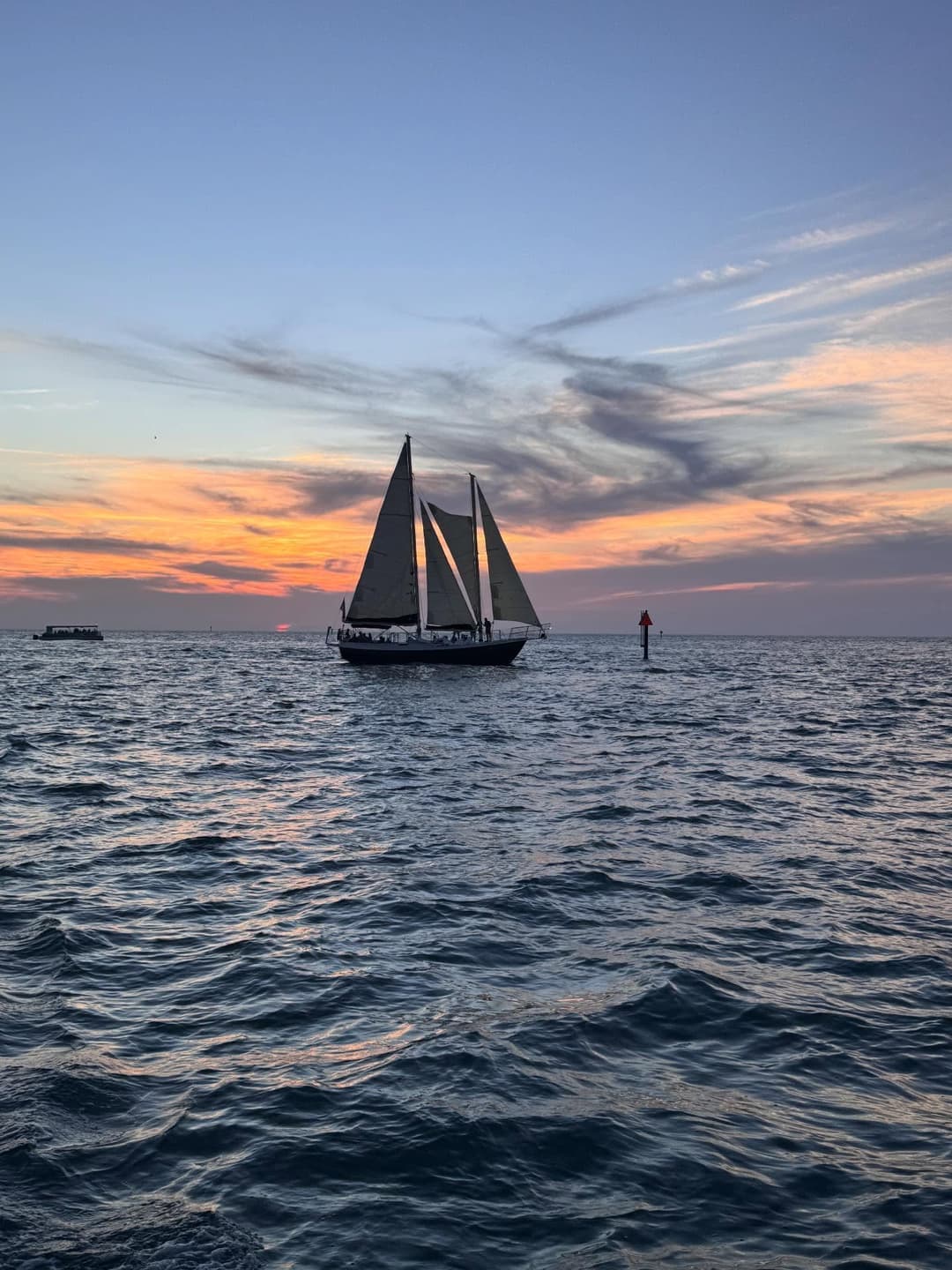 🐬🌅 6