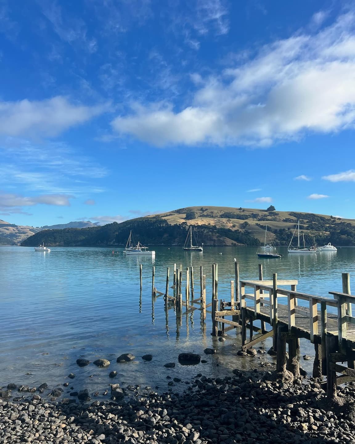 New Zealand 5
