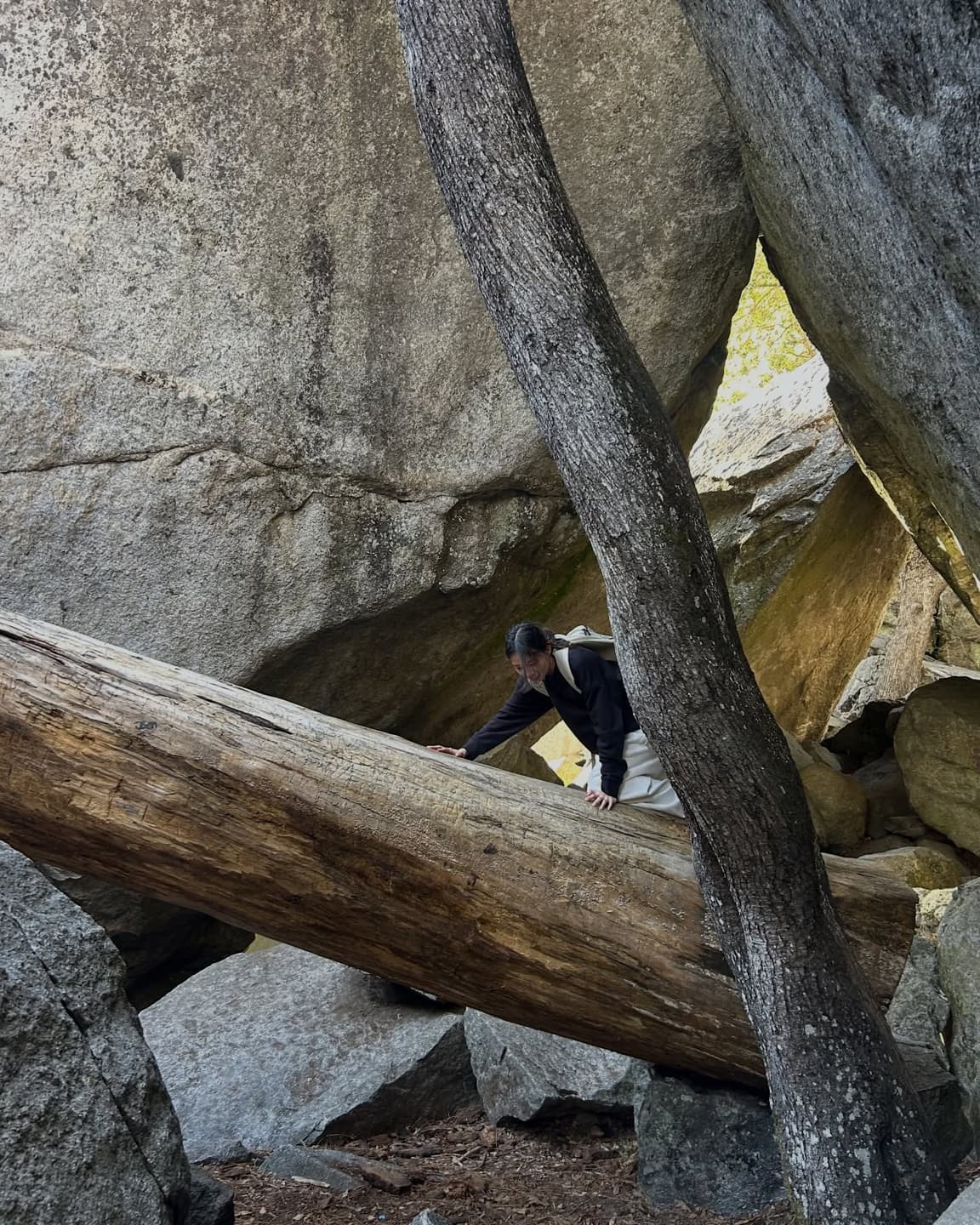 Yosemite's natural beauty 5