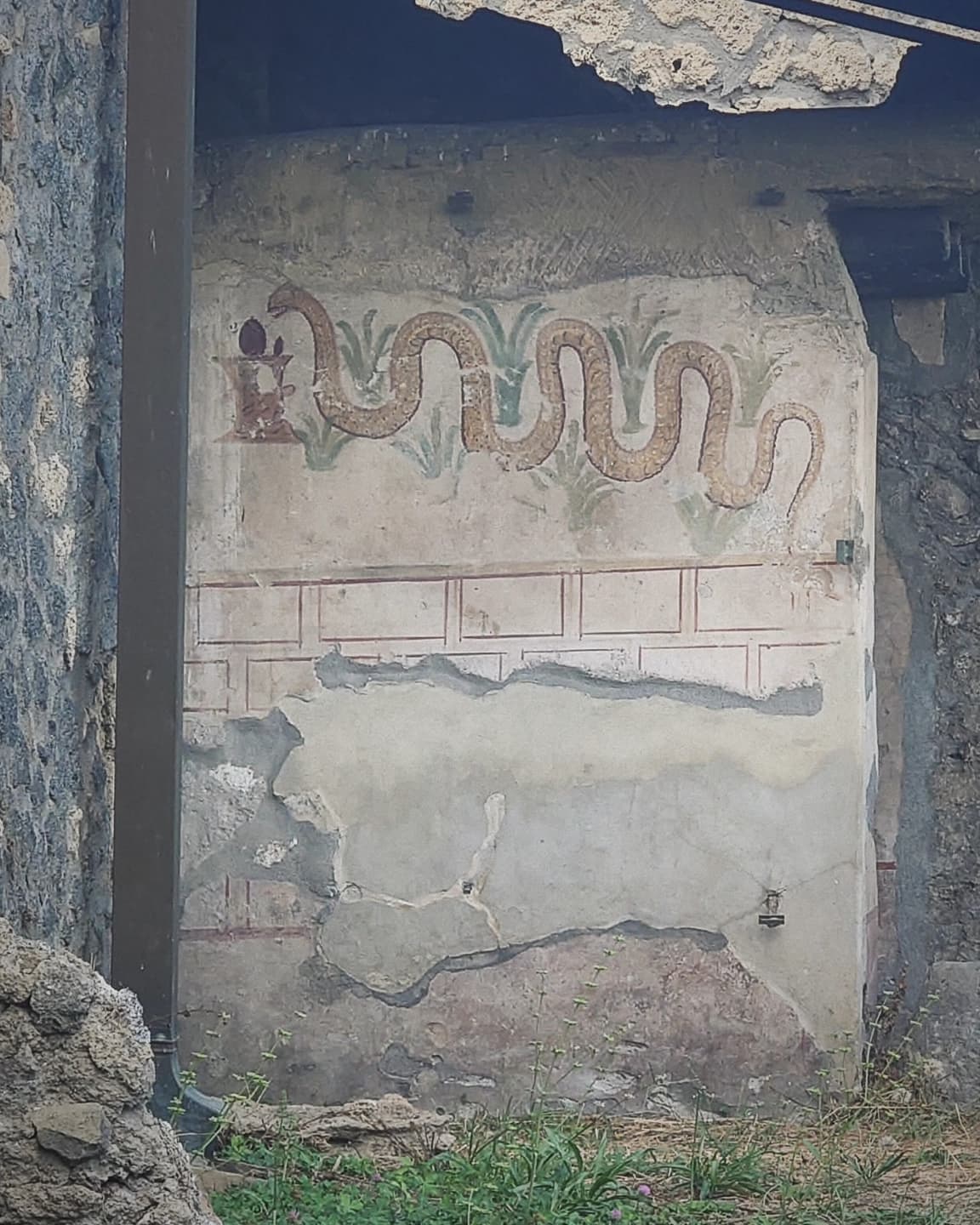 Ancient Life Artefacts 2