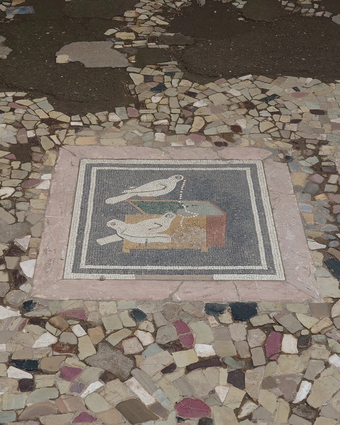 Ancient Life Artefacts 7