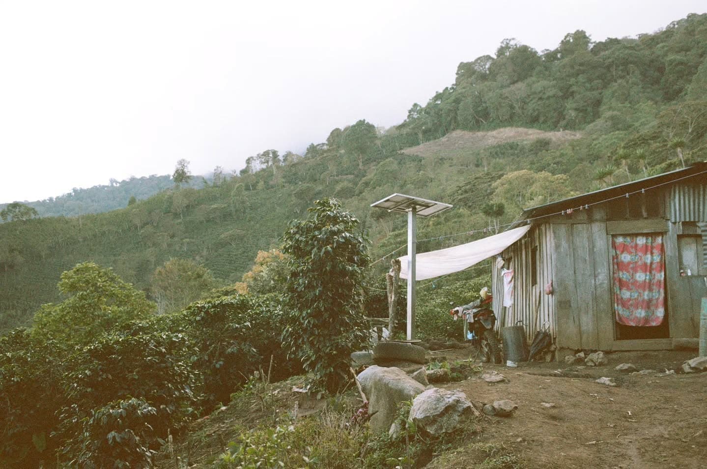 Honduras: 7