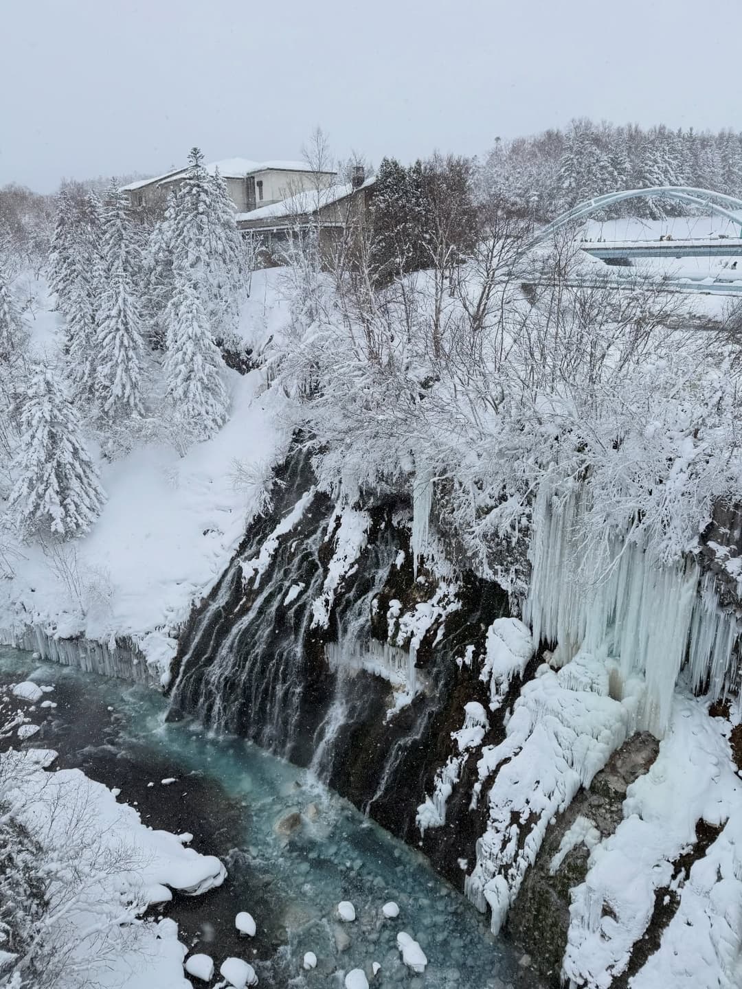 Hokkaido Winter Wonderland Tour
