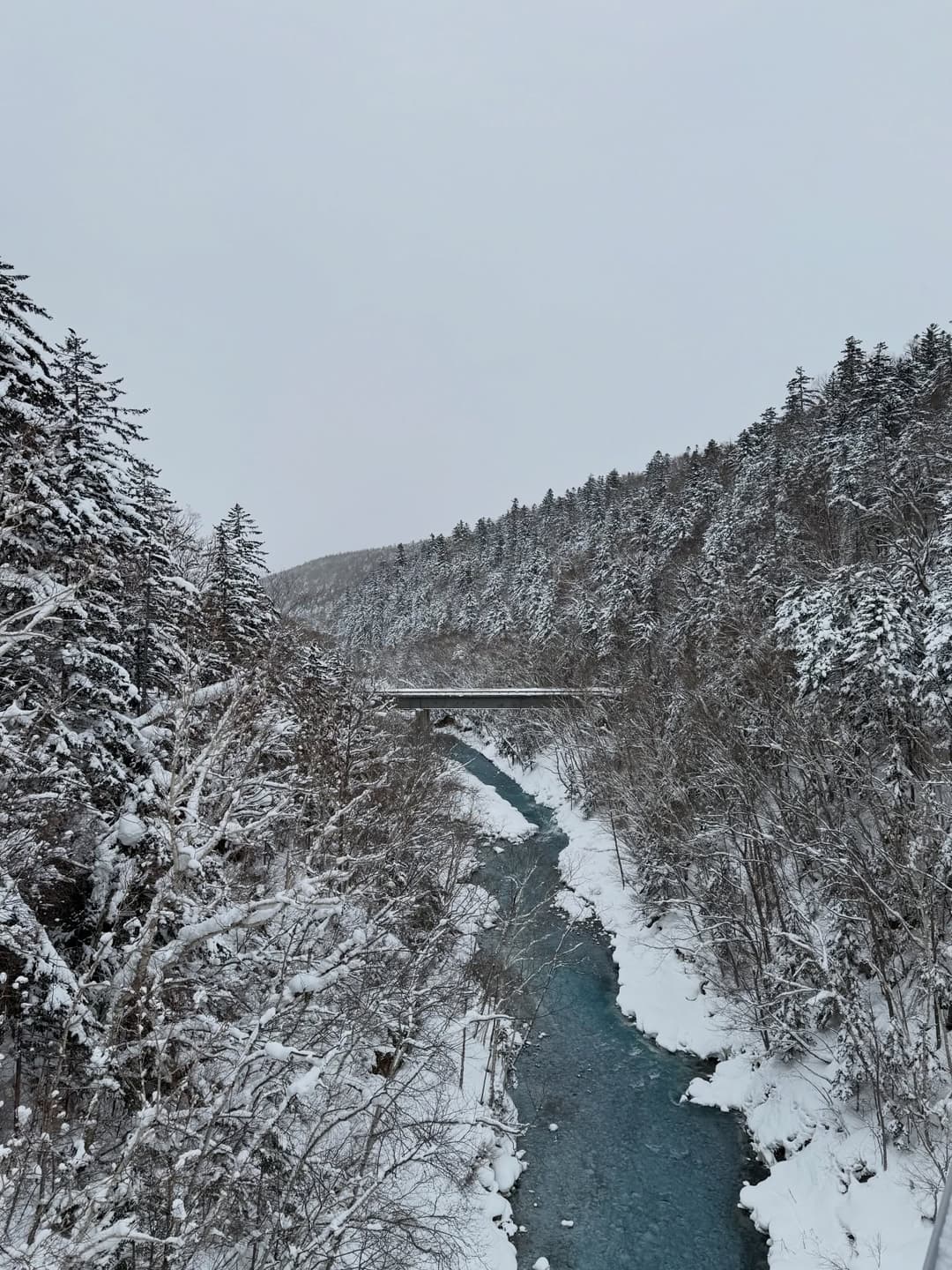 Hokkaido Winter Wonderland Tour 3