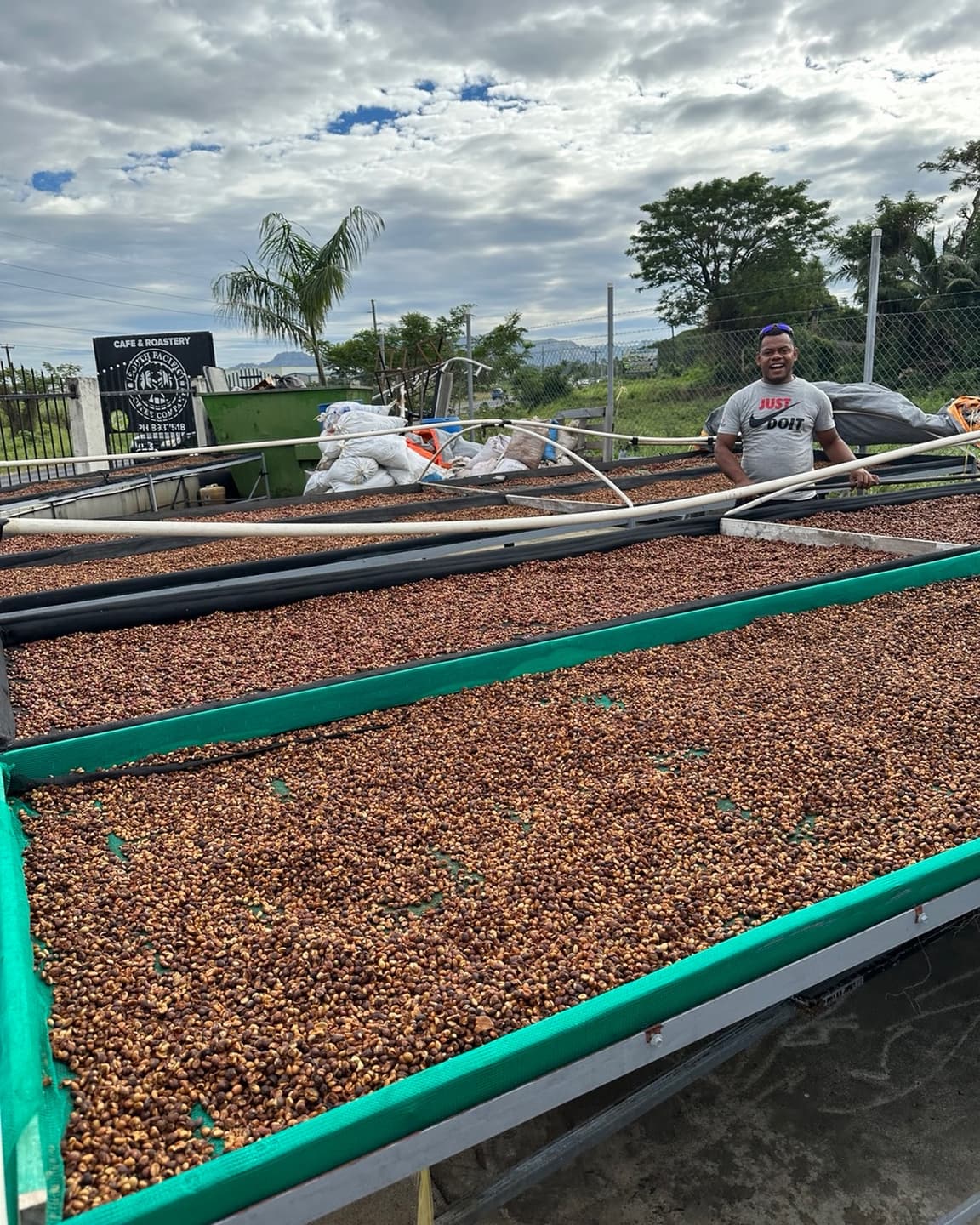 Fiji Coffee Cherry Drying Map