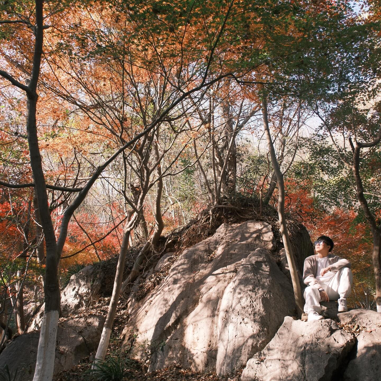 The red leaves are drifting down, autumn is drawing to a close. 5