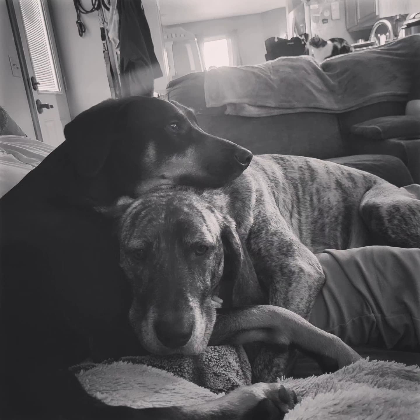 Sending love!