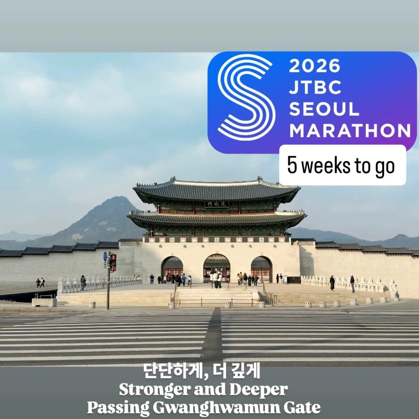 My Korea Race Training Map