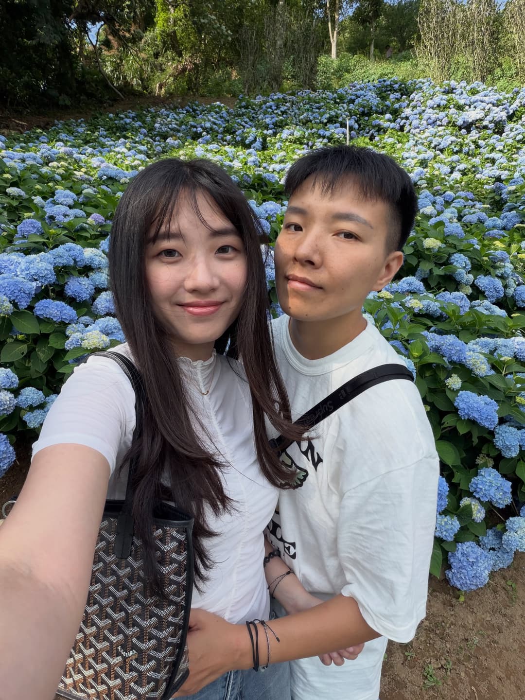 Hydrangea 4
