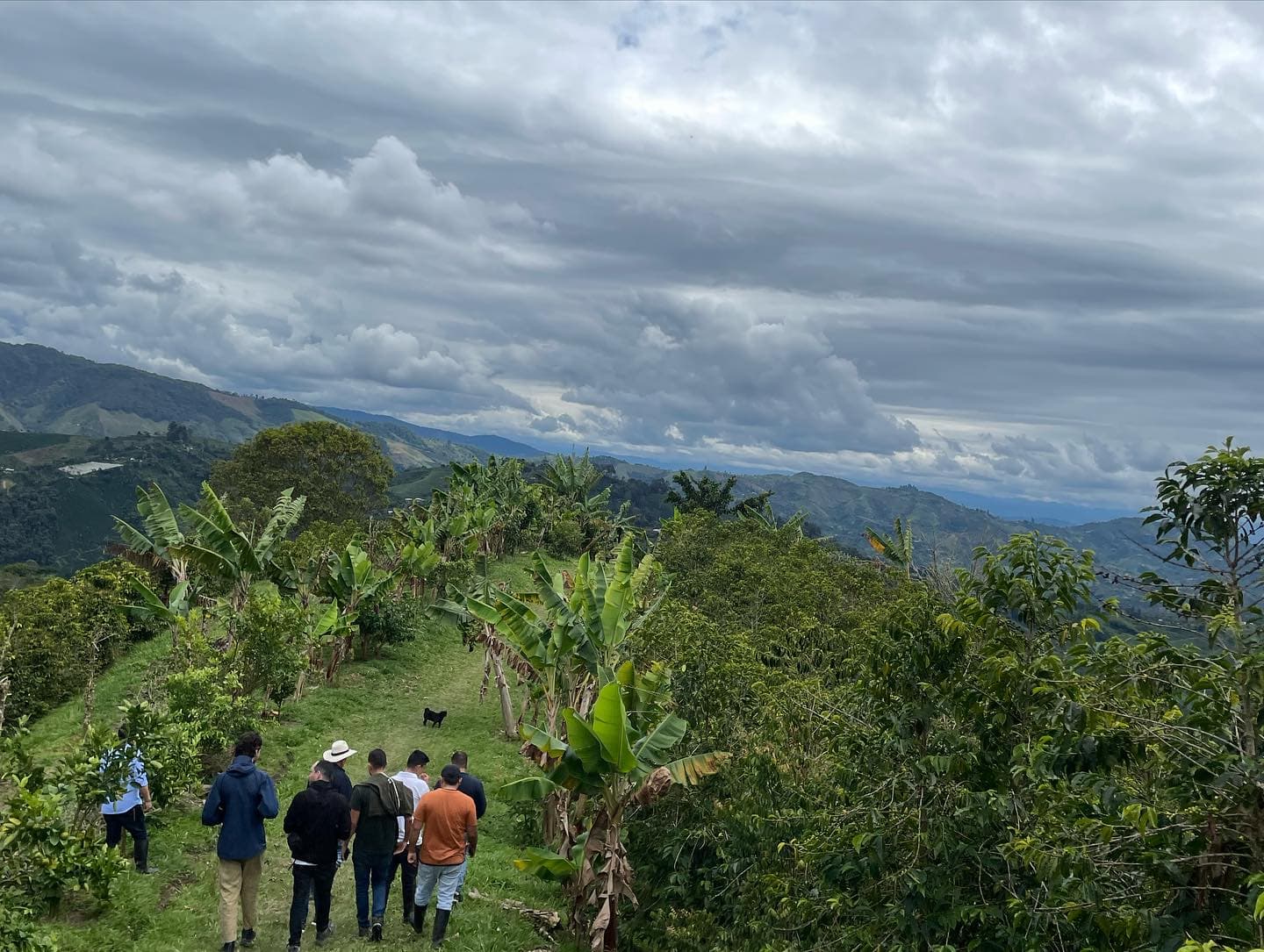 Colombian Coffee Farm Visits 3