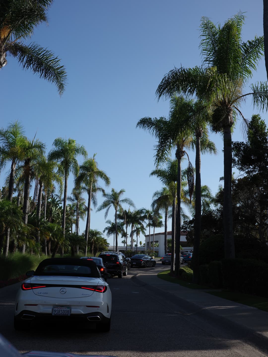 Cali🌸 8
