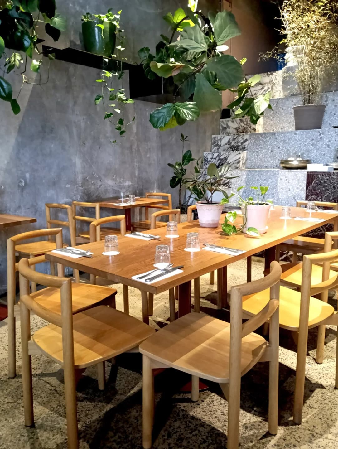 Lovely Middle Eastern Brunch 4