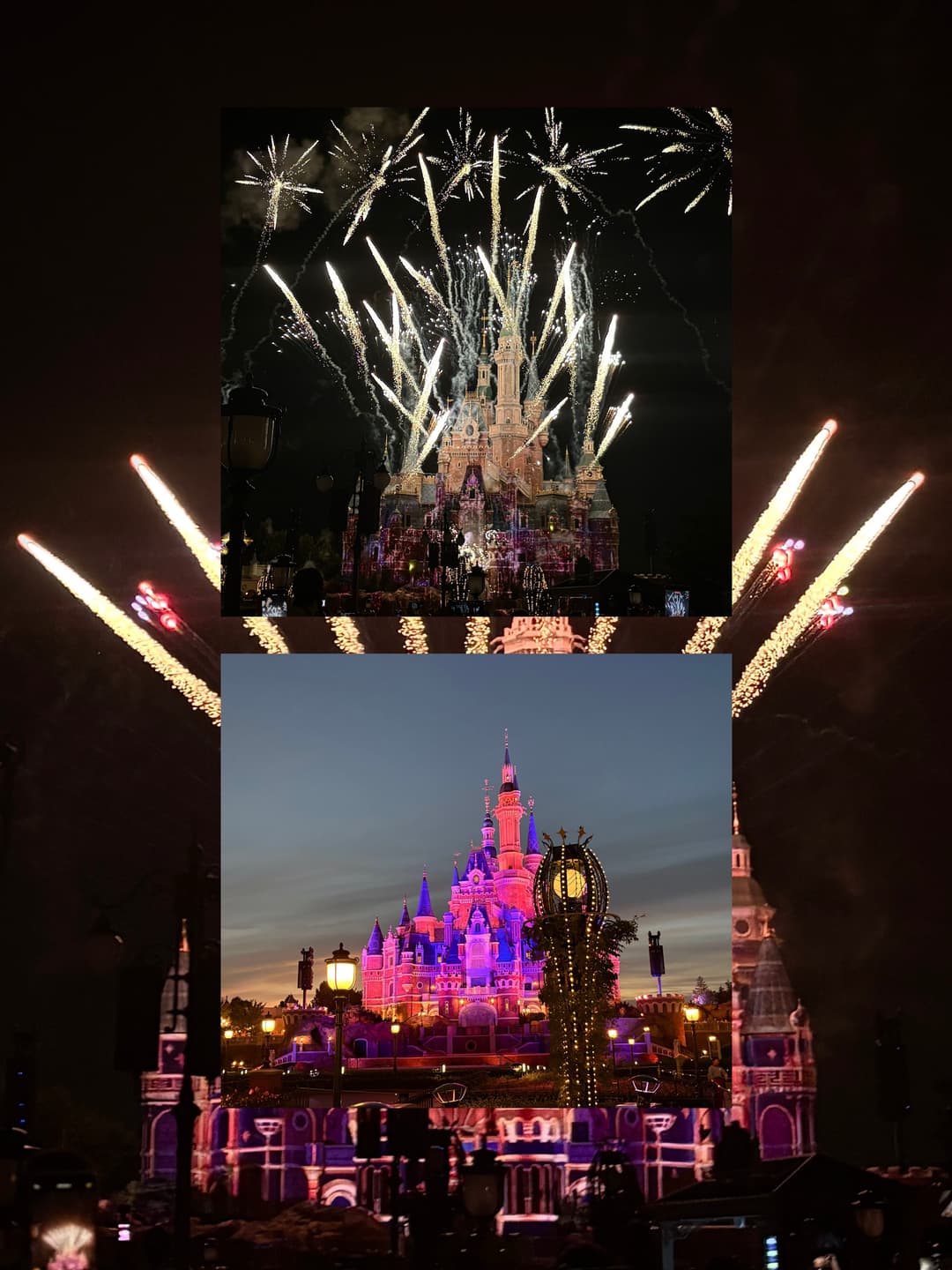 Disney day 7