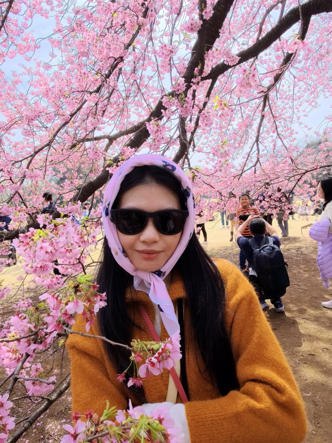 Cherry Blossom Map 4