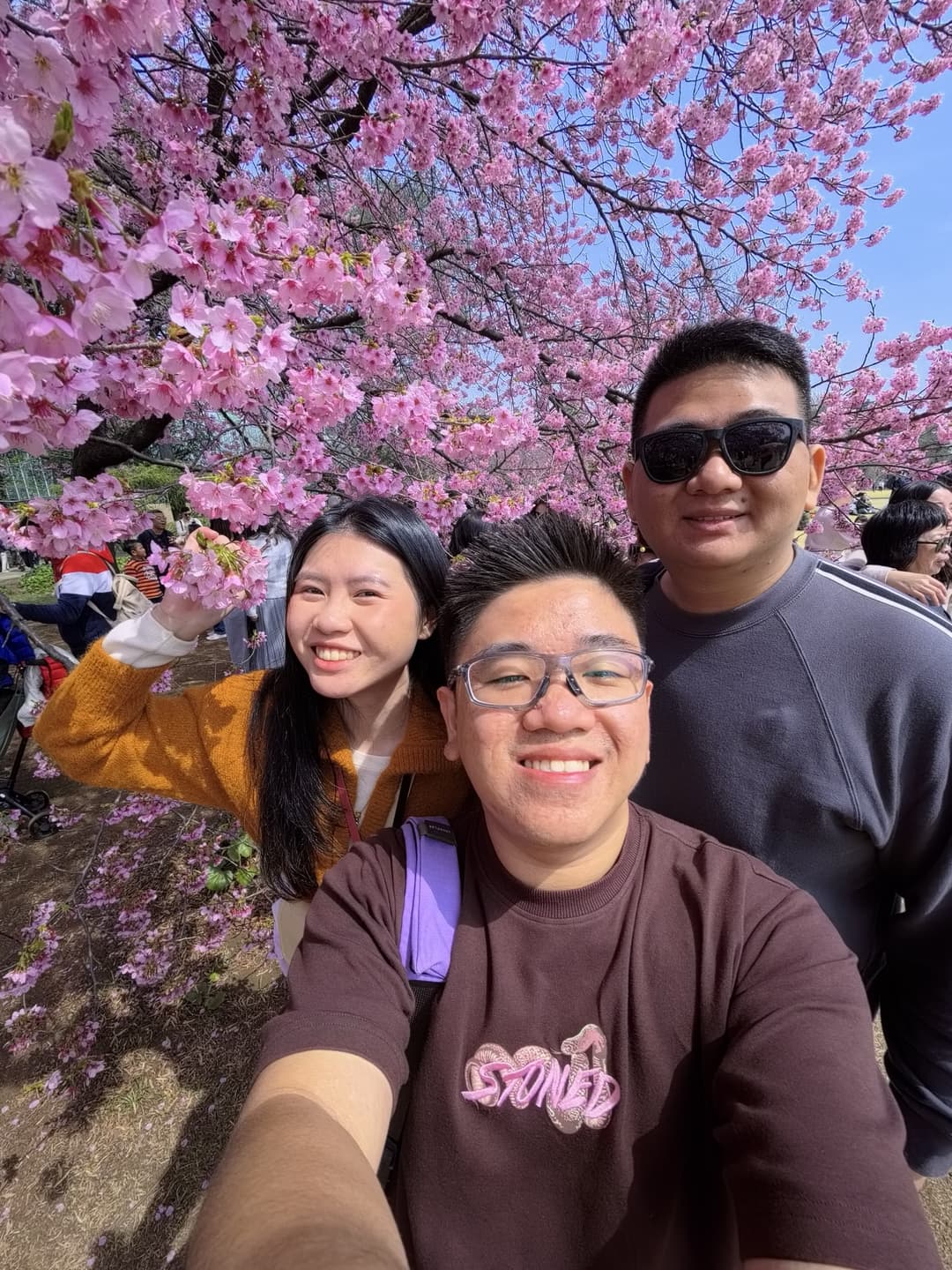 Cherry Blossom Map 7