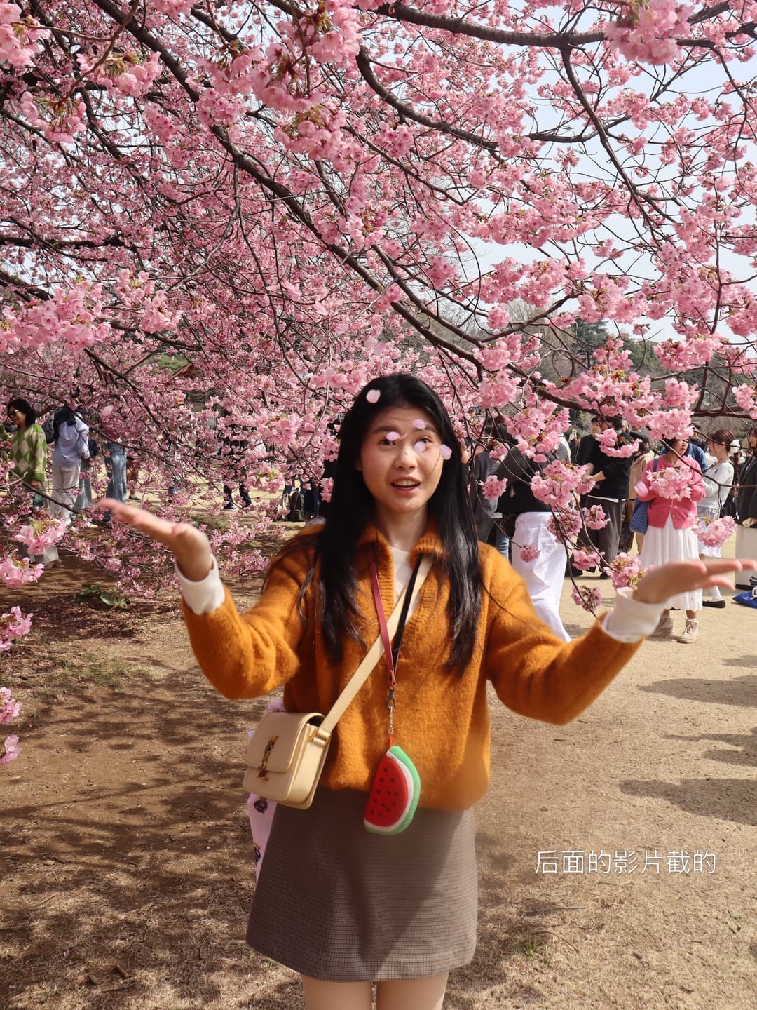 Cherry Blossom Map 8