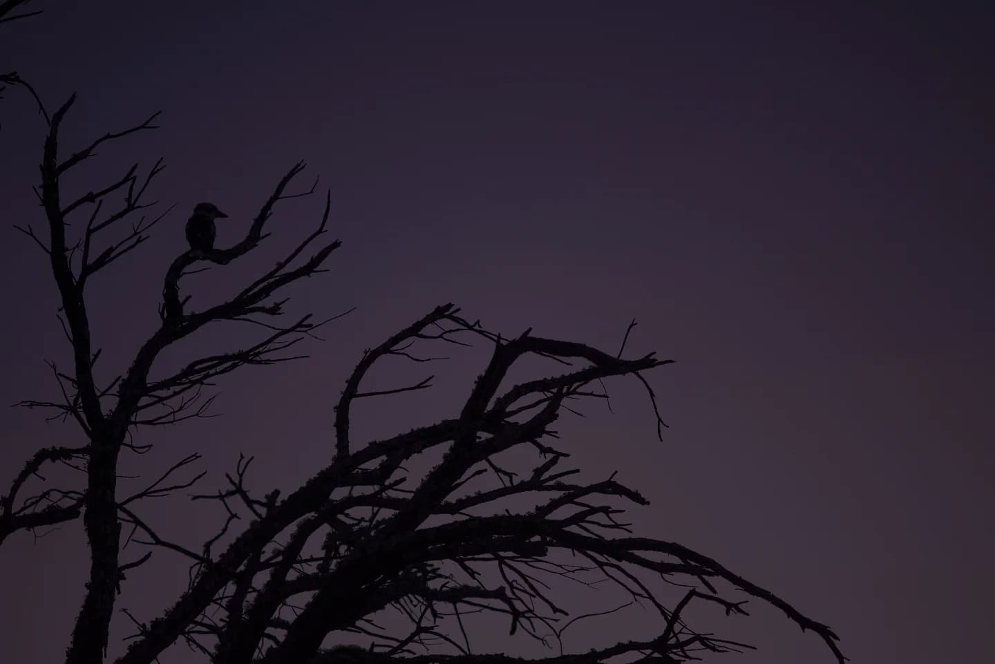 Approaching Night Sky