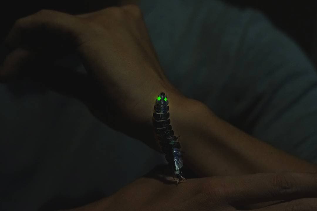 Flickering