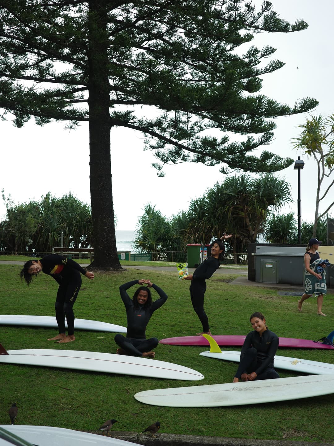 Gold Coast to Sydney Surf Trip Map 2