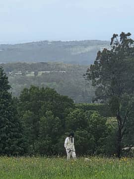 Mountain, girl, dog, railway line 4