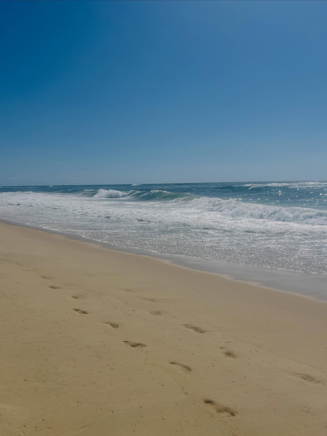 Loving the sun and waves!