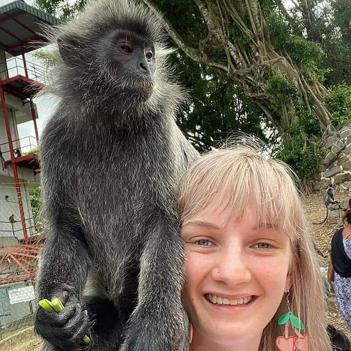 Our Kuala Lumpur Family Adventures 4