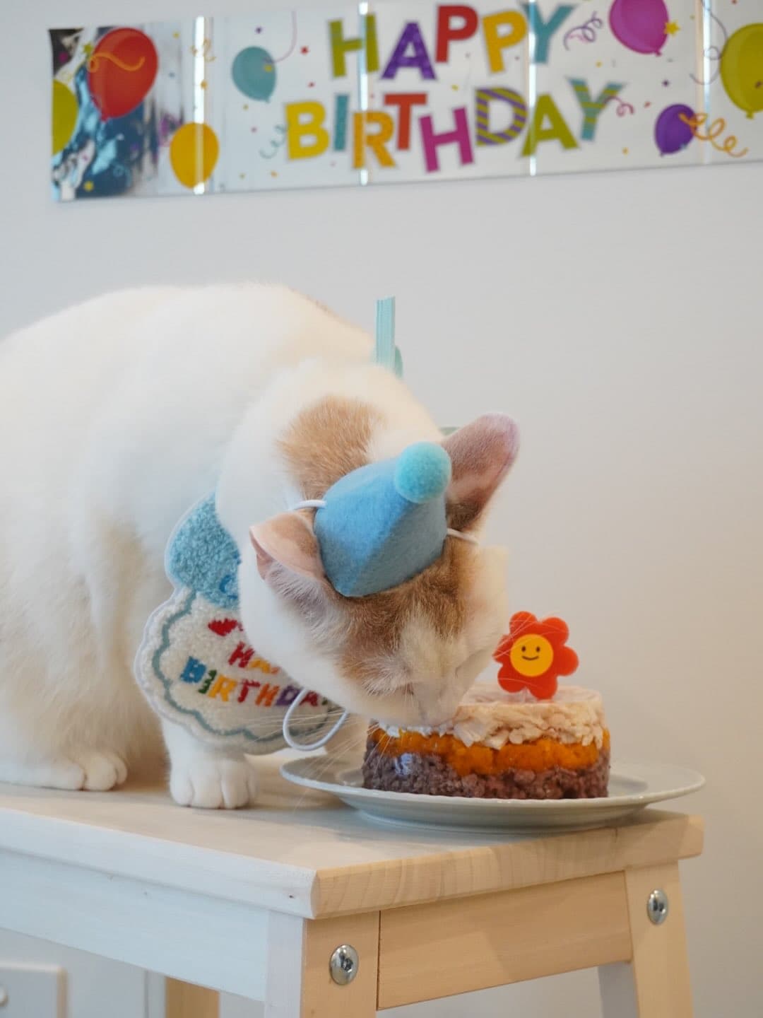Little Fatty's First Birthday Map