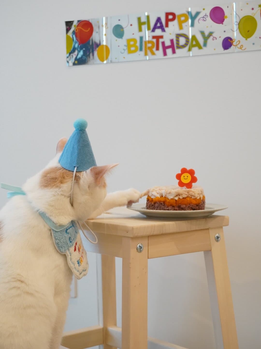 Little Fatty's First Birthday Map 2