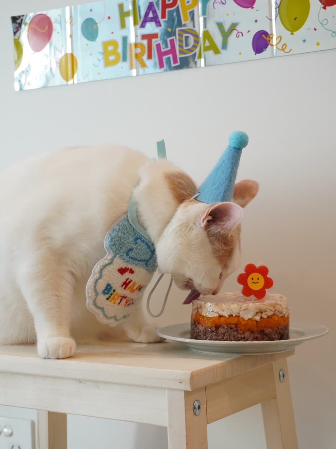 Little Fatty's First Birthday Map 3