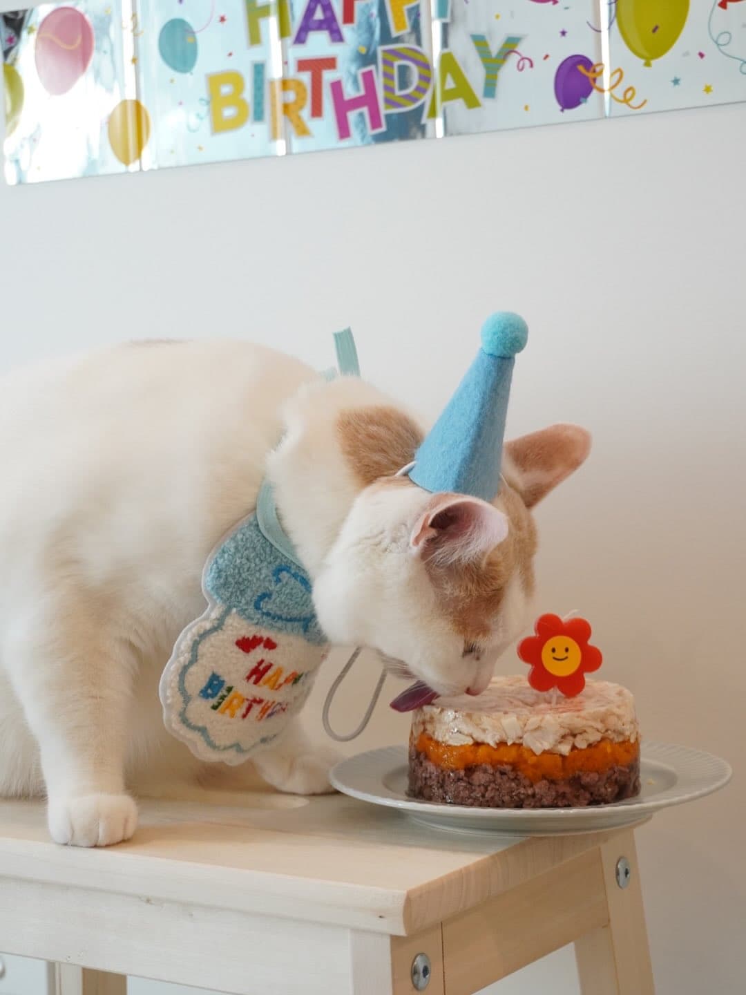 Little Fatty's First Birthday Map 4