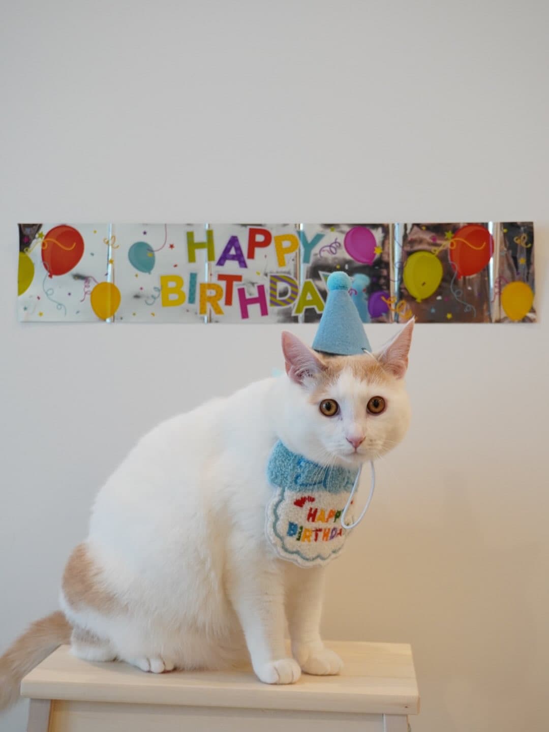 Little Fatty's First Birthday Map 5