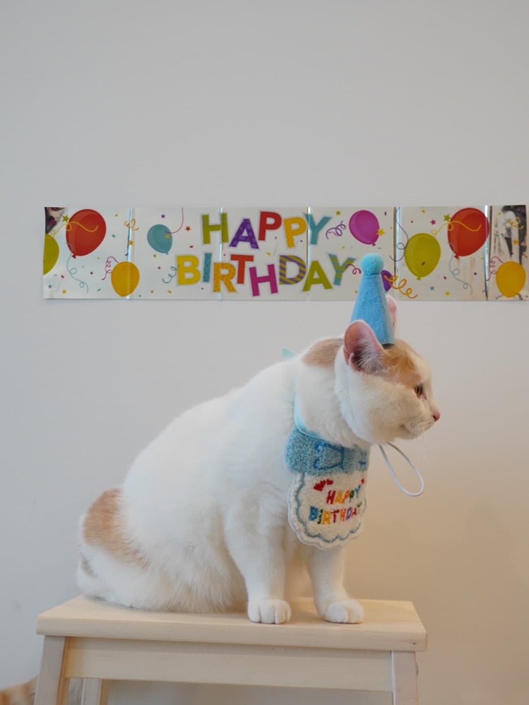 Little Fatty's First Birthday Map 6