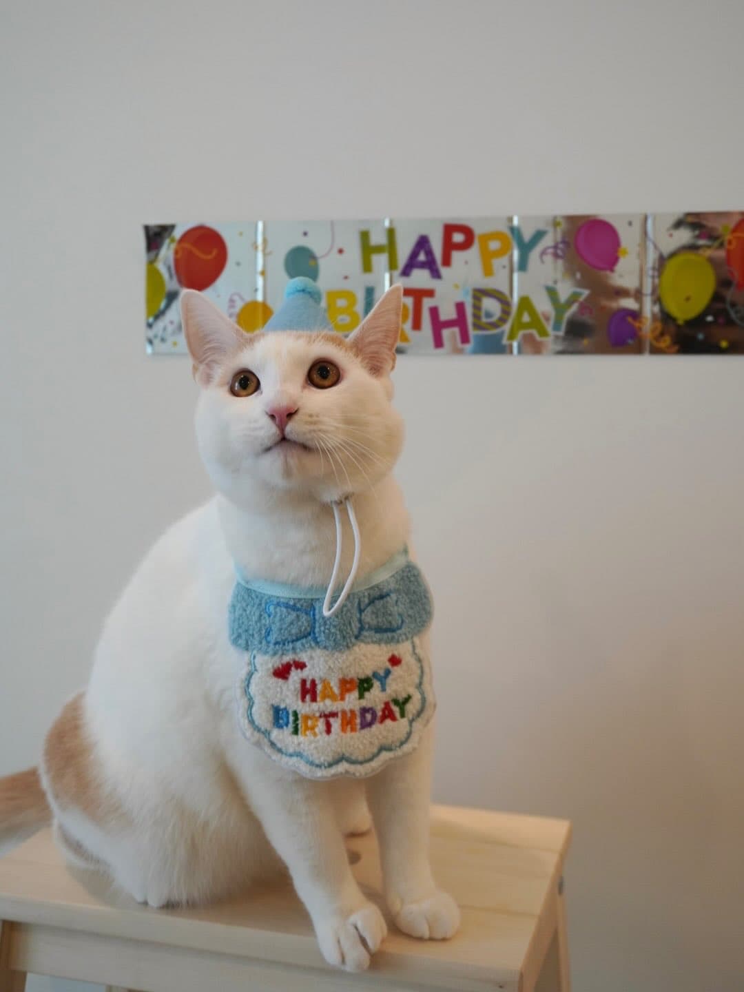 Little Fatty's First Birthday Map 8