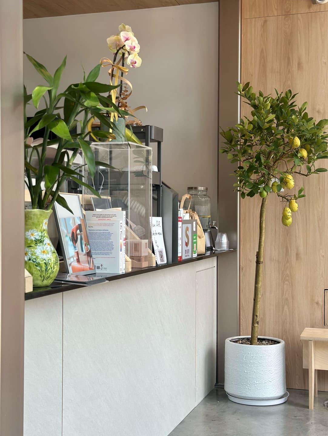 New Coloane Coffee Shop Map 4