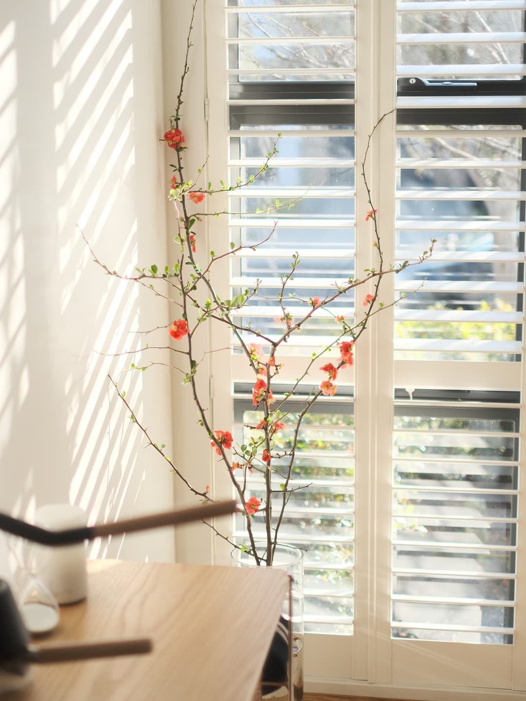 New branches 2