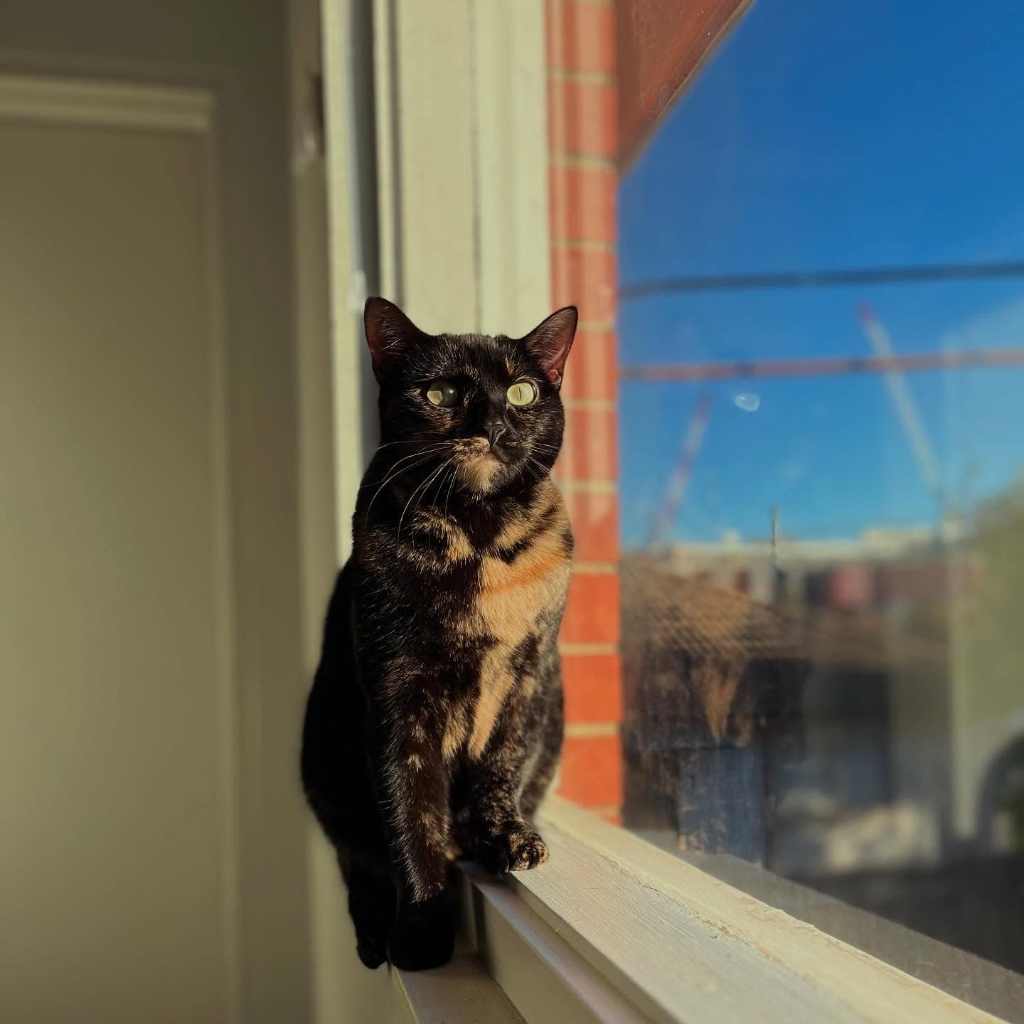Bella's Sunny Map