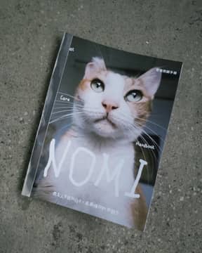 Nomi's 7