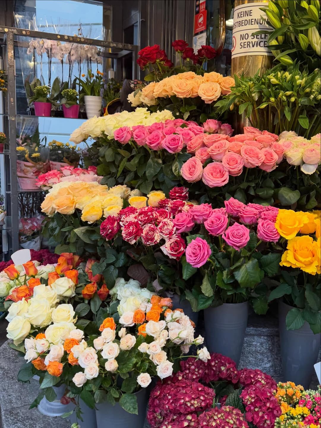 🙋🏻‍♀️💐🌭❄️🎵 4