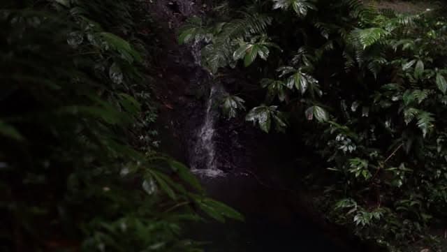 Batukaru: Bali's Sacred Mountain Map