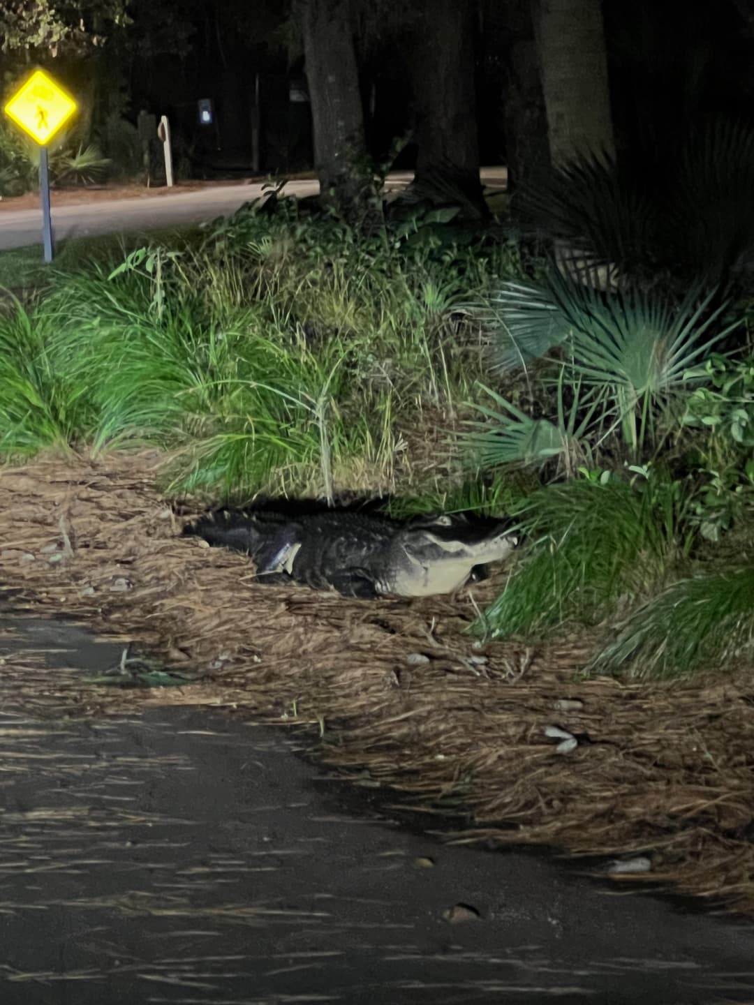 South Carolina Trip Highlights 2