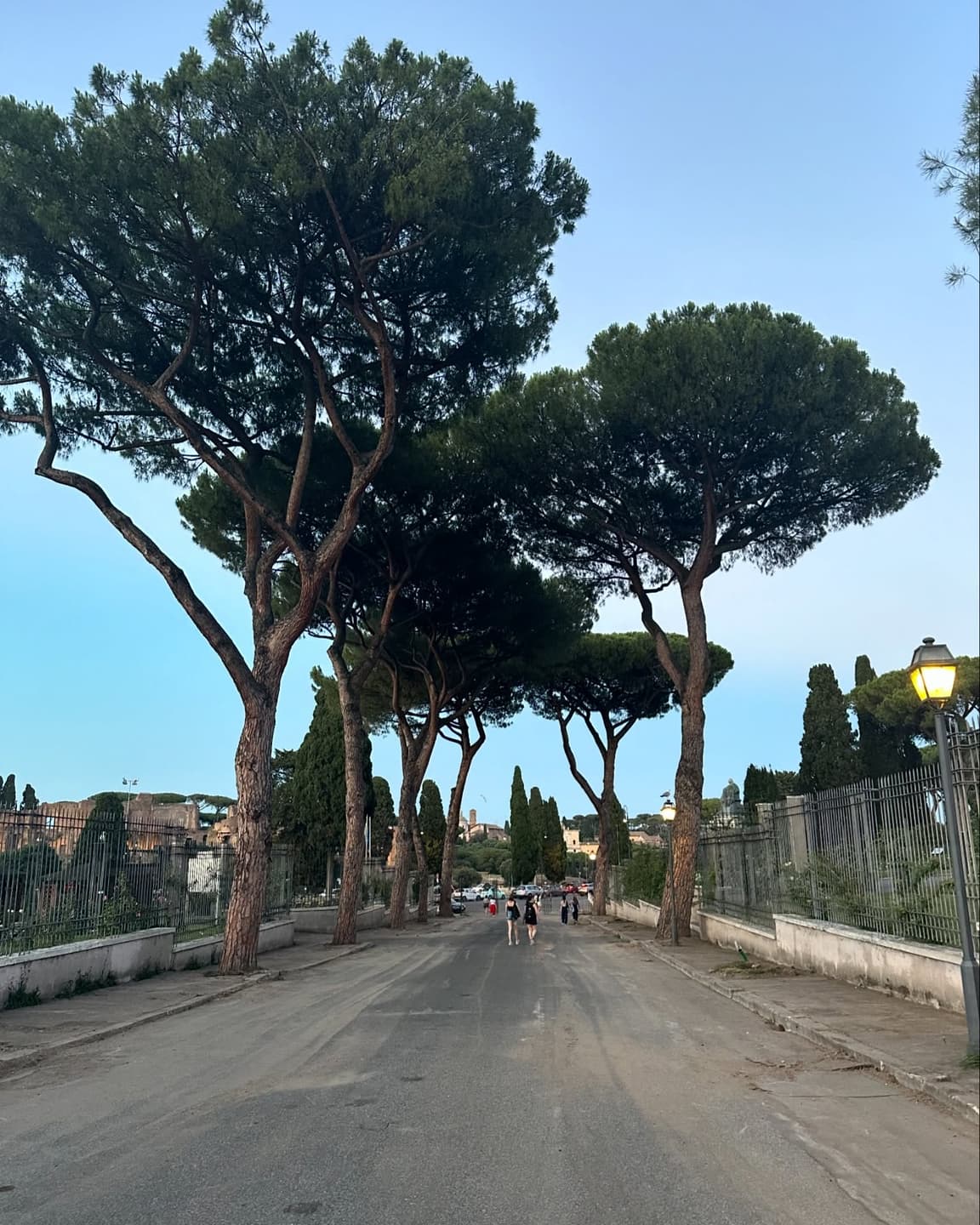 Rome 2024 5