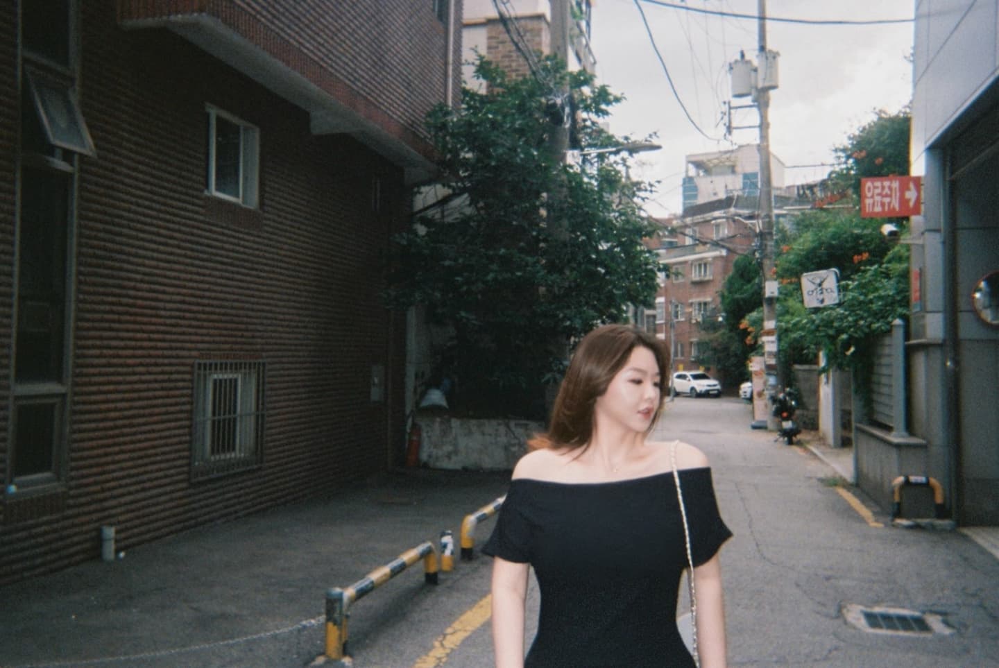 Lavender Day on Film