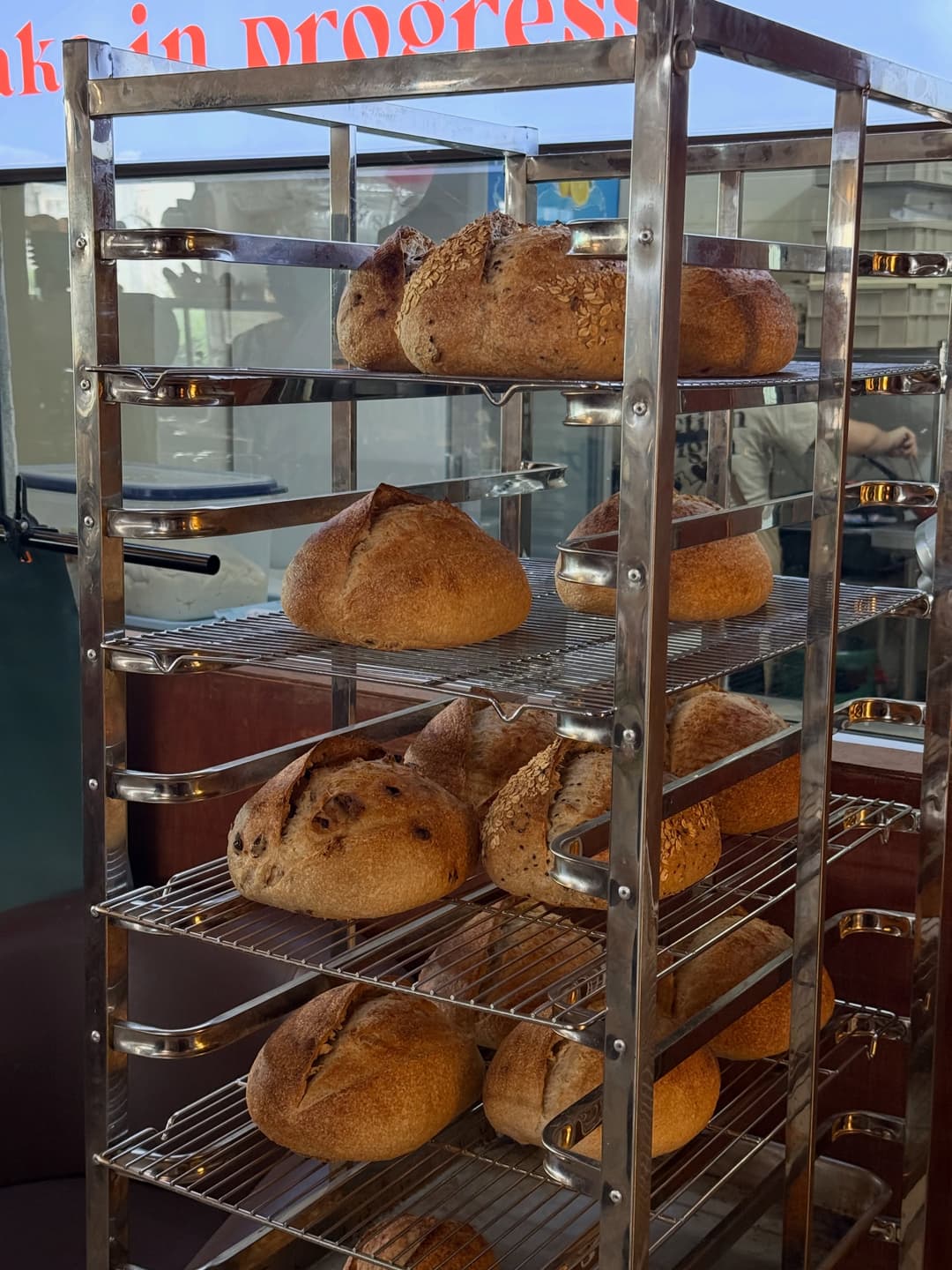 *॰¨̮🥐ℴ🥖⋆｡˚🥯 7