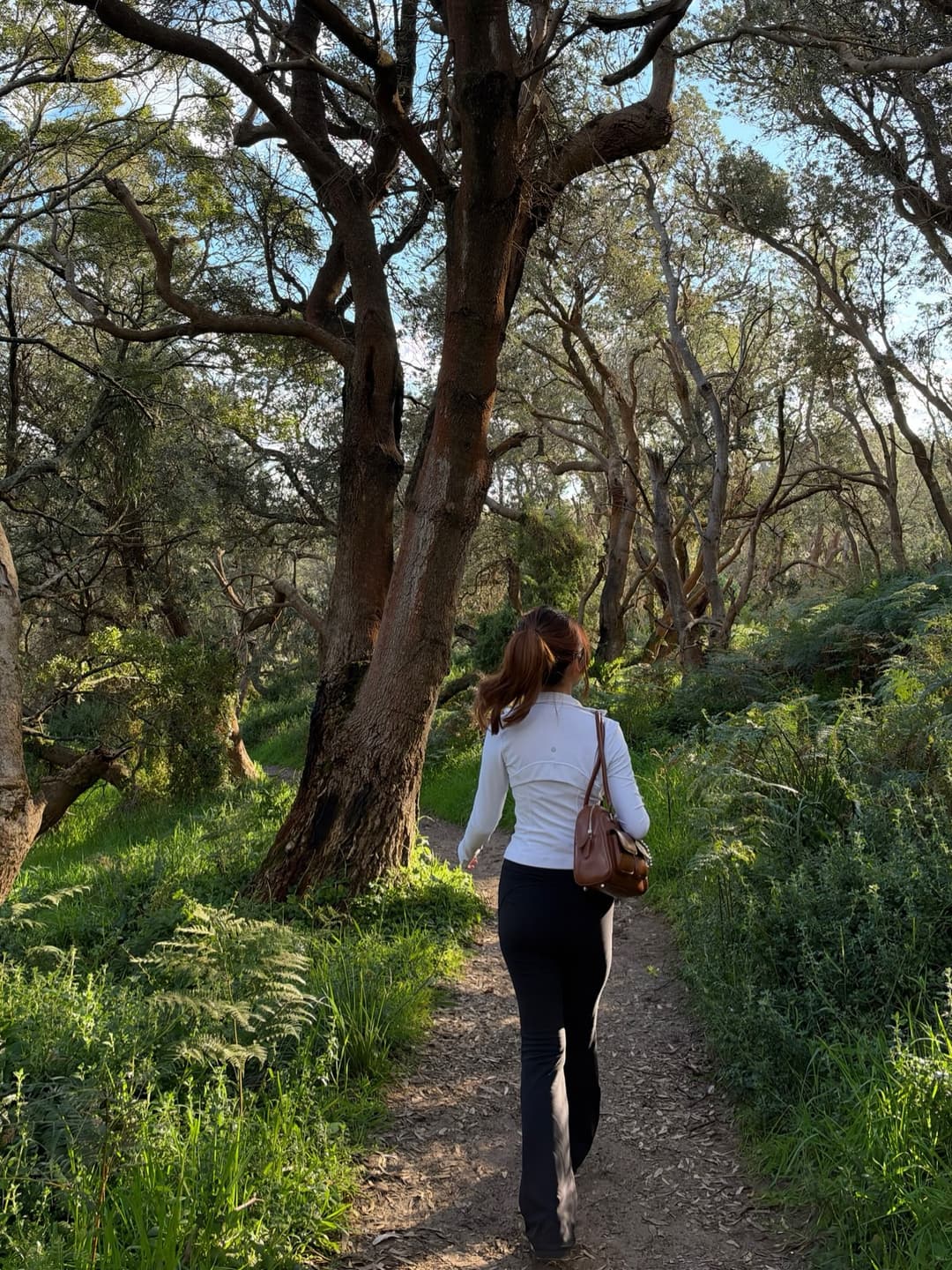Mornington Peninsula Hidden Gems Map