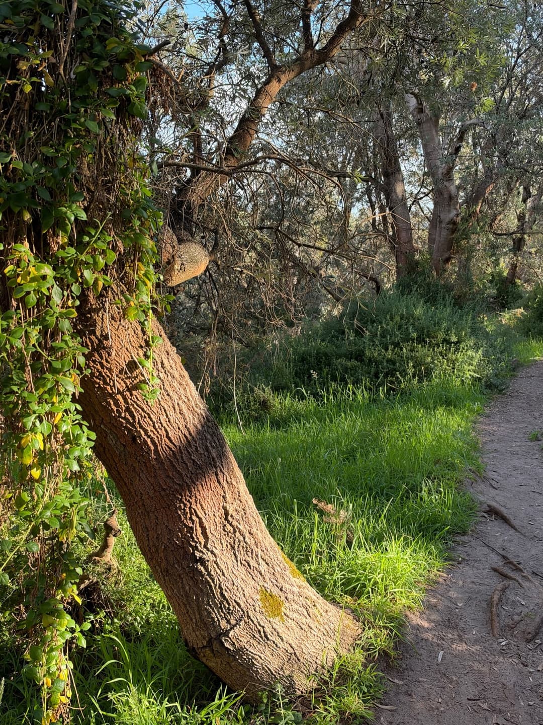 Mornington Peninsula Hidden Gems Map 5