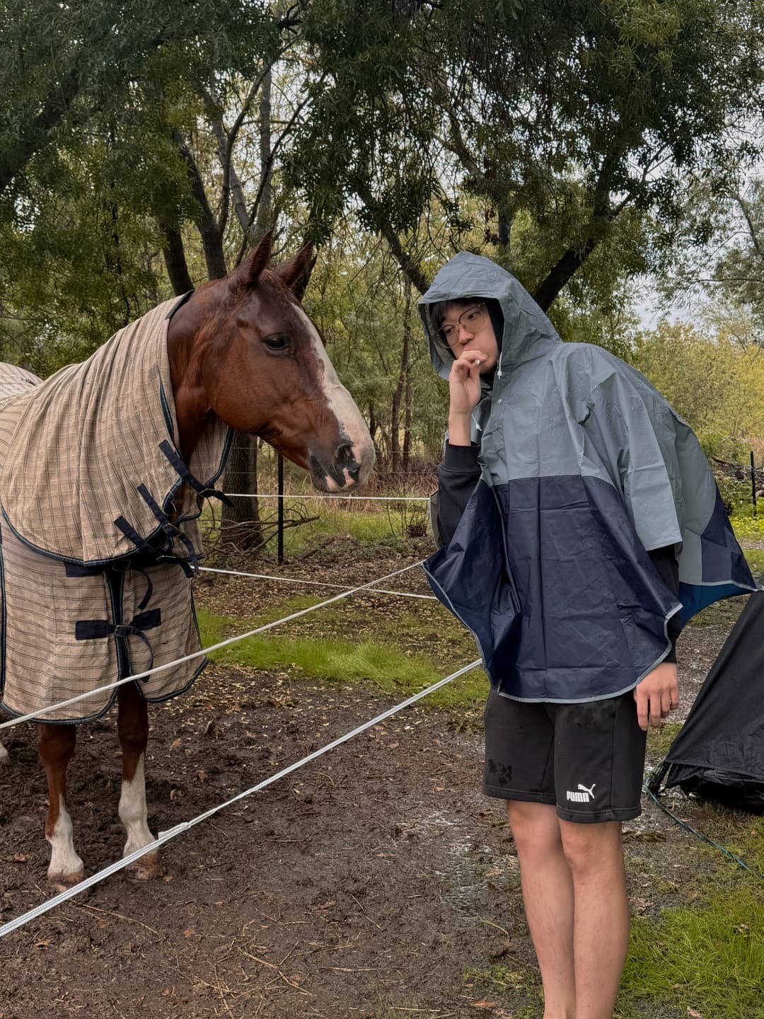 Easter Horse Riding Escape 7